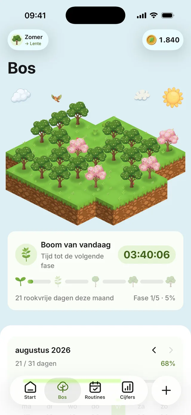 Het bosscherm: een eiland met zestien bomen voor augustus, de boom van vandaag is volgroeid